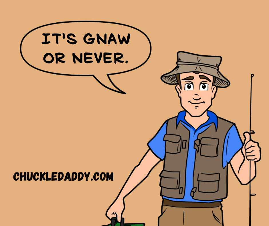 Want to tell a few funny beaver jokes? It's gnaw or never.