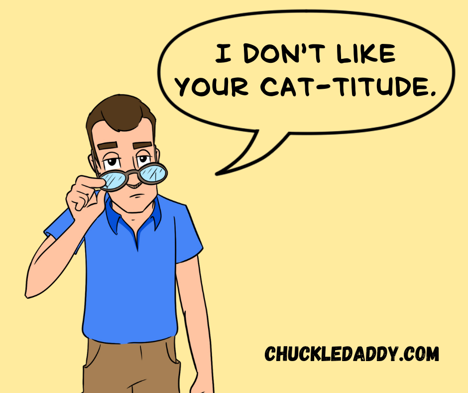 Chuckle Daddy making the pun, "I don't like your cat-titude."