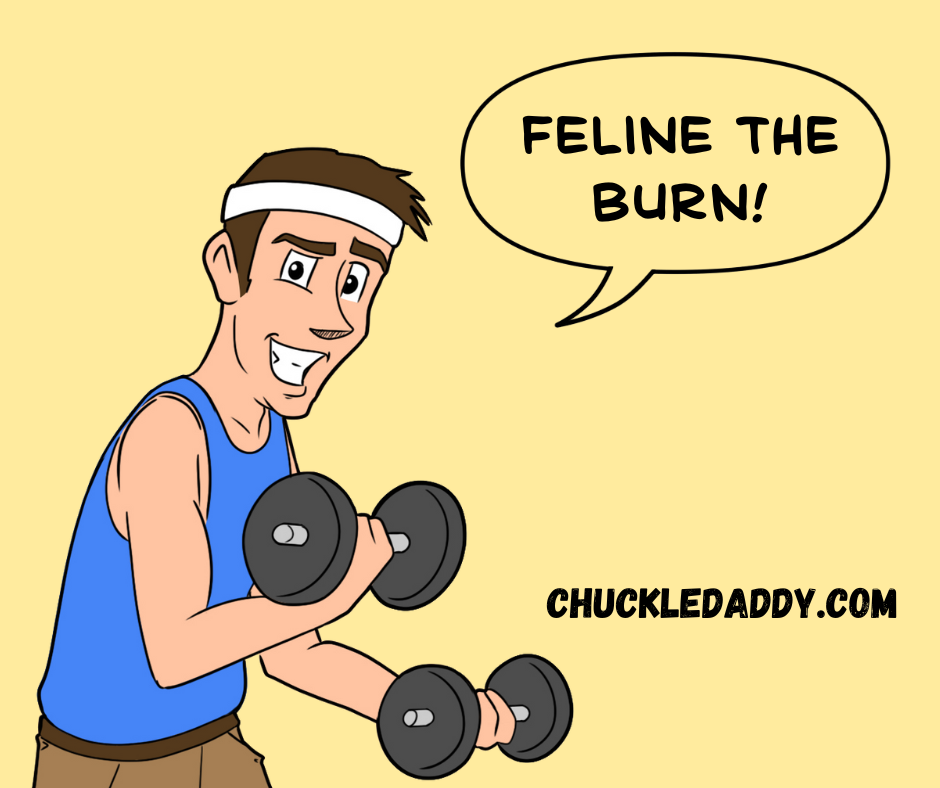 Chuckle Daddy making the cat pun, "Feline the burn!"
